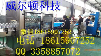 威尔顿科技 优质生产厂家、合理价格与技术转让全解析